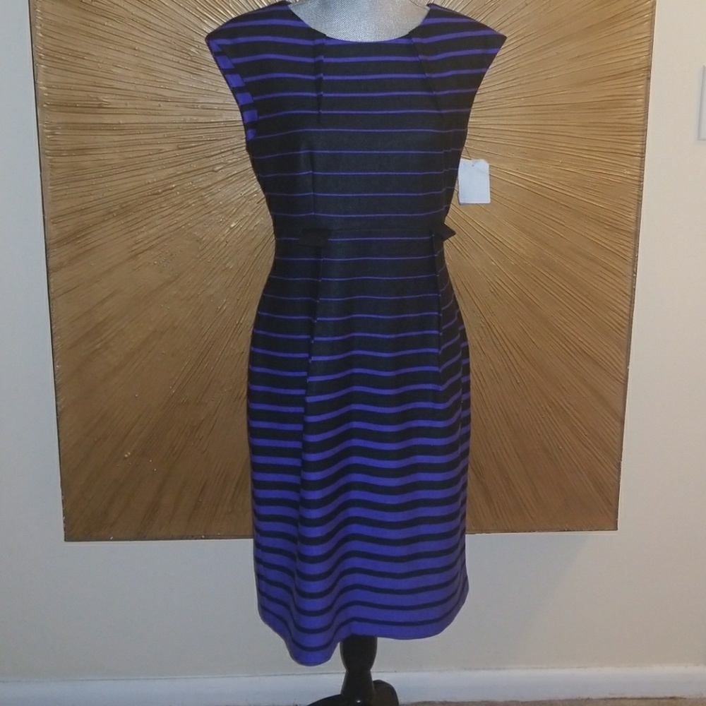 *NWT Blueberry and black Connected Apparel dress